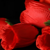 The Rose 2.0 (Red) by Bond Lee & Wenzi Magic Bond Lee bei Deinparadies.ch