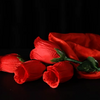 The Rose 2.0 (Red) by Bond Lee & Wenzi Magic Bond Lee bei Deinparadies.ch