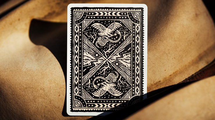 Voyager Playing Cards theory11 bei Deinparadies.ch