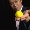 Perfect Manipulation Balls (1.7 yellow) by Bond Lee Bond Lee bei Deinparadies.ch
