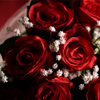The Bouquet (Red) by Bond Lee & MS Magic Bond Lee bei Deinparadies.ch