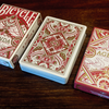 Agenda Red Basic Edition Playing Cards Card Experiment bei Deinparadies.ch