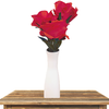 Dream Rose by JL Magic JL Magic bei Deinparadies.ch