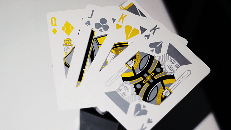 Mako Silversurfer Playing Cards by Gemini Deinparadies.ch bei Deinparadies.ch