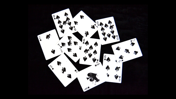 Shadows Playing Cards Awareness Playing Card Company bei Deinparadies.ch