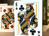 Bicycle Aviary Playing Cards Bicycle bei Deinparadies.ch