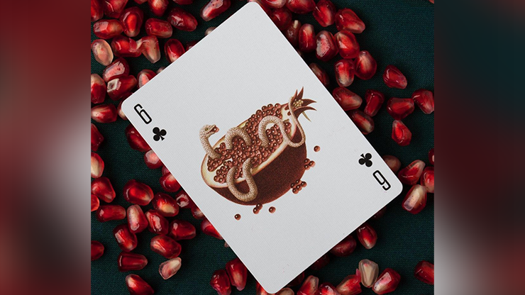Cabinetarium Playing Cards by Art of Play Dan and Dave Buck Deinparadies.ch