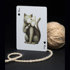 Cabinetarium Playing Cards by Art of Play Dan and Dave Buck bei Deinparadies.ch