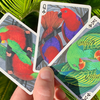 Bicycle Parrot Playing Cards Playing Card Decks Deinparadies.ch