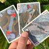 Bicycle Parrot Extinct Playing Cards Playing Card Decks bei Deinparadies.ch