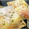 Entwined Vol.1 (Rose) Summer Playing Cards Old Gravity Printing bei Deinparadies.ch