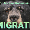 Migrate DLX Coin or Poker Chip | Michael Rubinstein Murphy's Magic Deinparadies.ch