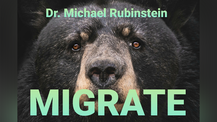 Migrate DLX Coin oder Pokerchip | Michael Rubinstein Murphy's Magic bei Deinparadies.ch