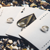 Oyster (Marked) Playing Cards by Think Murphy's Magic bei Deinparadies.ch