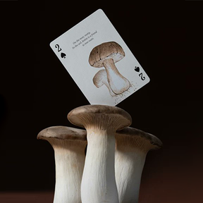 Eastern Forest Playing Cards by Art of Play Dan and Dave Buck bei Deinparadies.ch