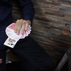 Bicycle Triumph Kicker Deck Red by Anthony Stan and Magic Smile Productions Magic Smile Productions bei Deinparadies.ch