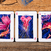 False Anchors V4 Deep Sea Playing Cards | Ryan Schlutz Ryan Schlutz at Deinparadies.ch