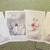 Limited Edition Cotta's Almanac #2 Transformation Playing Cards - Murphys