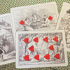 Limited Edition Cotta's Almanac #2 Transformation Playing Cards - Murphys
