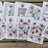 Limited Edition Cotta's Almanac #3 Transformation Playing Cards - Murphys