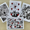 Limited Edition Cotta's Almanac #6 Transformation Playing Cards - Murphys