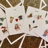 Astrological Hodges Playing Cards Playing Card Decks bei Deinparadies.ch