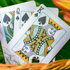 Butterfly Seasons Playing Cards Marked (Spring) by Ondrej Psenicka Deinparadies.ch bei Deinparadies.ch