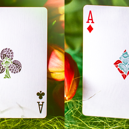 Butterfly Seasons Playing Cards Marked (Spring) by Ondrej Psenicka Deinparadies.ch bei Deinparadies.ch