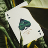 Forbidden Forest Playing Cards Dan and Dave Buck bei Deinparadies.ch