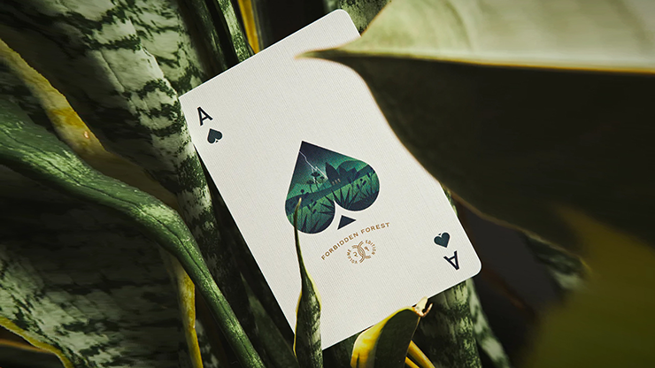 Forbidden Forest Playing Cards Dan and Dave Buck at Deinparadies.ch
