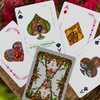 Botanica Playing Cards Curio Playing Cards bei Deinparadies.ch