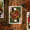 Secret Tale of Robin Hood: Black Owl Playing Cards Deinparadies.ch bei Deinparadies.ch