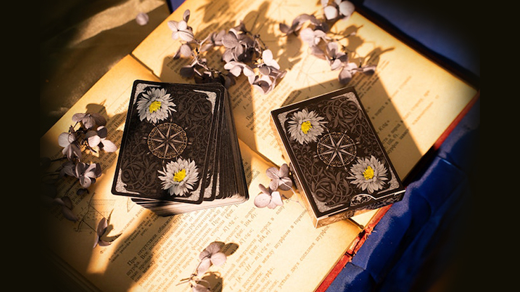 Epiphyllum Playing Cards Wang Jiaming bei Deinparadies.ch