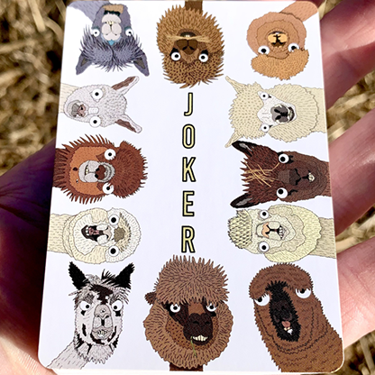 Alpaca Farm Playing Cards Deinparadies.ch bei Deinparadies.ch