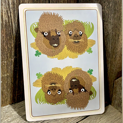 Alpaca Farm Playing Cards Deinparadies.ch bei Deinparadies.ch