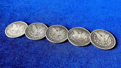 Réplique du jeu de 5 pièces Morgan Dollar | N2G N2G à Deinparadies.ch