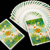 Early Summer Trip Playing Card Boxset Infinity soliware bei Deinparadies.ch