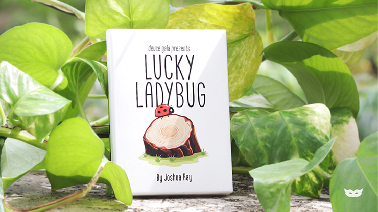 Lucky Ladybug | Joshua Ray & Deuce Gala Magic