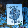 Wheel of the Year Yule Playing Cards Jocu bei Deinparadies.ch