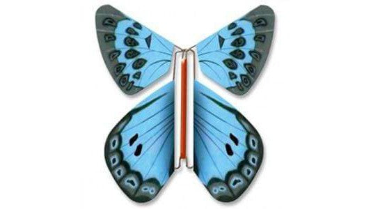 Blaue fliegende Schmetterlinge
