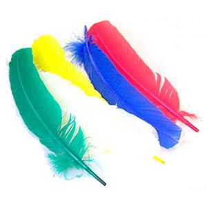 Indian feathers about 25cm Deinparadies.ch consider Deinparadies.ch