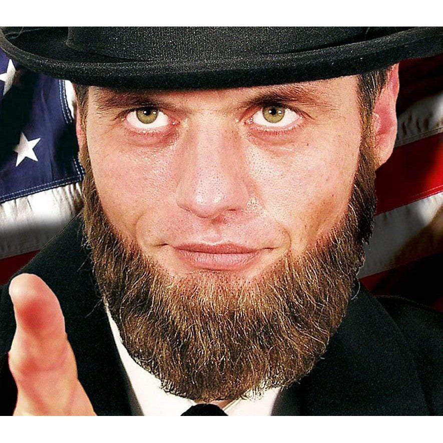 Lincoln Vollbart Echthaar rot-Metamorph-Deinparadies.ch