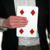 Multi Pip (klein) What's Next? AL Magic bei Deinparadies.ch