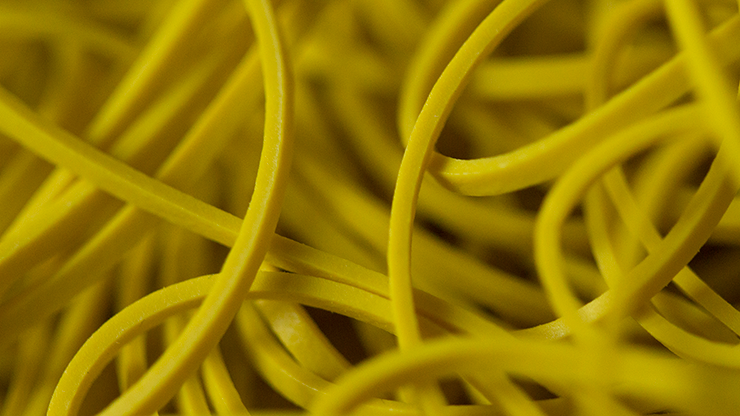 Rainbow Rubber Bands | Large | Grösse 19 Gelb-Joe Rindfleisch-Deinparadies.ch