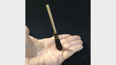 The magic broom Deinparadies.ch consider Deinparadies.ch