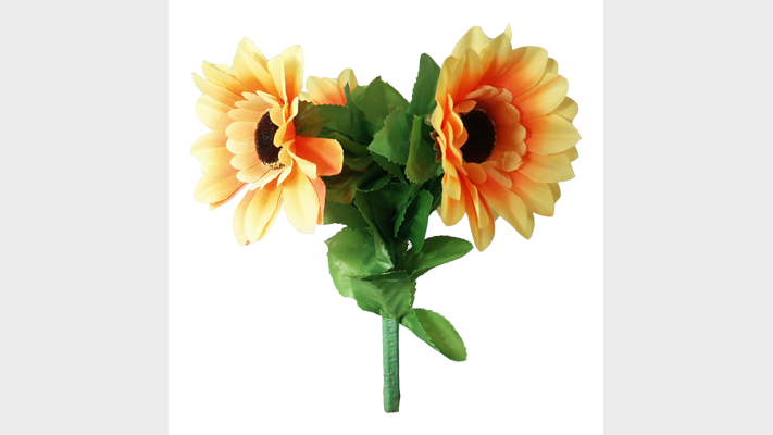 Amazing Split Sunflower | Premium Magic The Essel Magic bei Deinparadies.ch