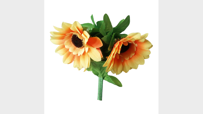Amazing Split Sunflower | Premium Magic The Essel Magic bei Deinparadies.ch