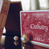 Cardistry Calligrafia Carte da gioco | Blu Deinparadies.ch a Deinparadies.ch