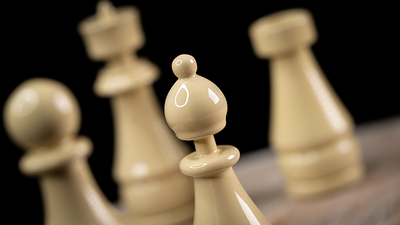 Gambit Chess Pieces | Mental The | Anverdi knows Murphy's Magic Deinparadies.ch