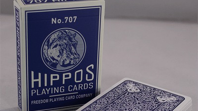 Le 707 carte da gioco di Hippo Deinparadies.ch a Deinparadies.ch